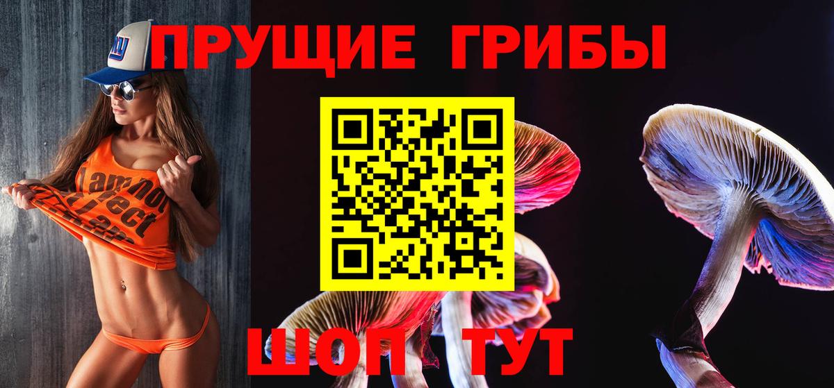 Псилоцибиновые грибы MAGIC MUSHROOMS Белгород